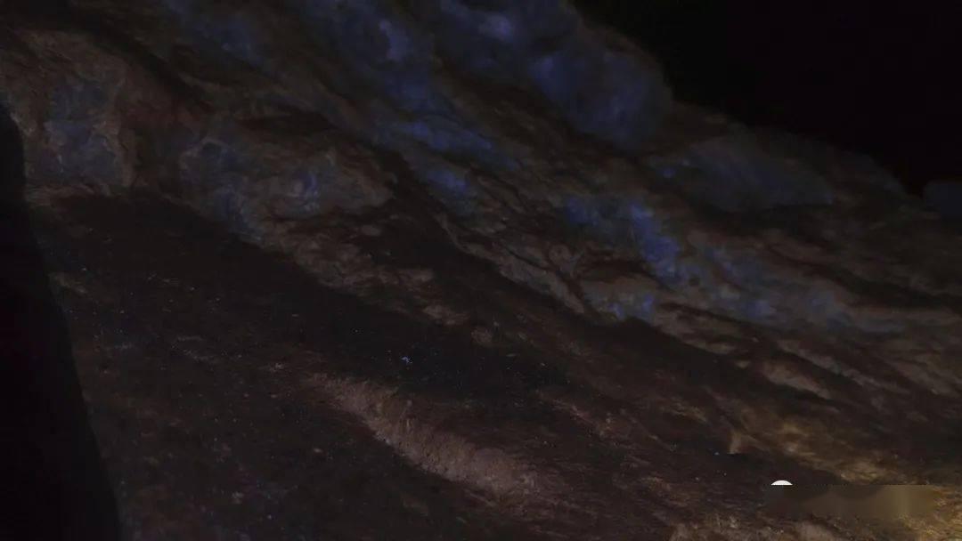 逃出魔术师的房间