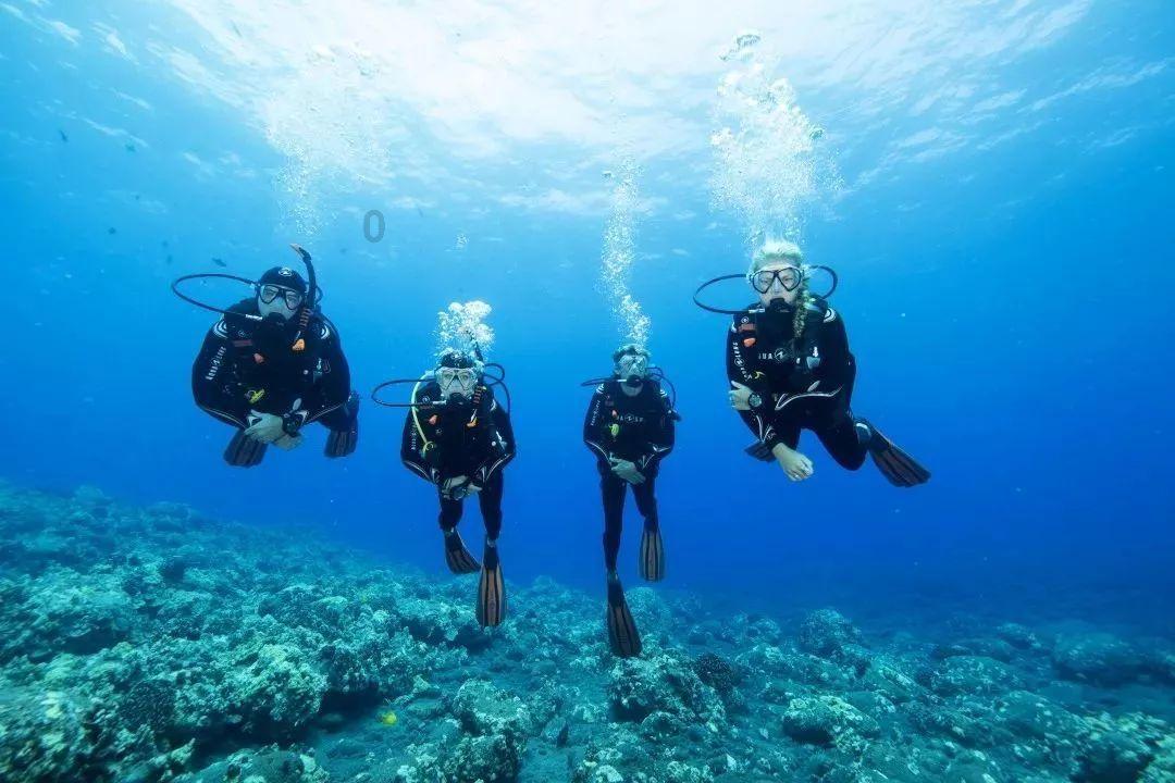石家庄生物医药产业知识产权运营中心揭牌